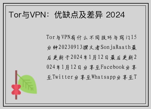 Tor与VPN：优缺点及差异 2024 